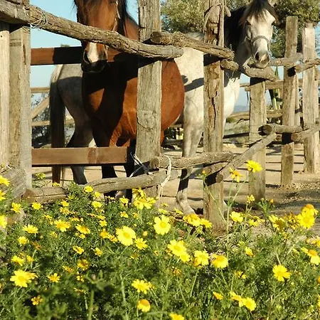 Alloggio per agriturismo Baglio San Nicola *