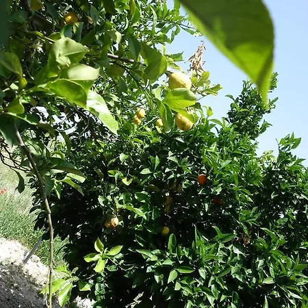 Baglio San Nicola Alloggio per agriturismo Naro